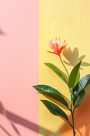 极简时尚清新背景图