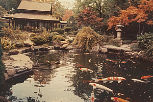 水塘锦鲤新年喜庆素材