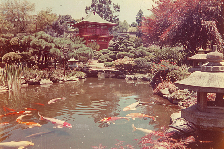 水塘锦鲤水池许愿素材