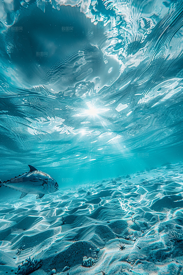 金枪鱼水族自然素材