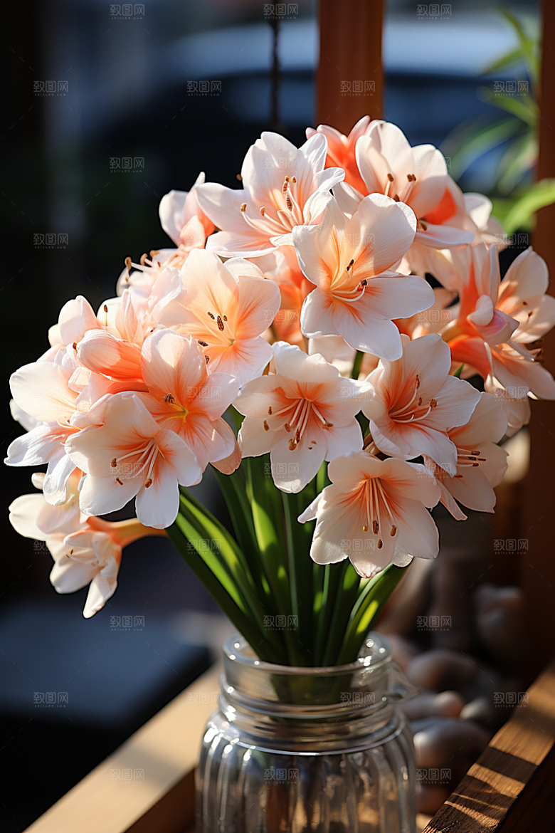 君子兰花卉兰花摄影图