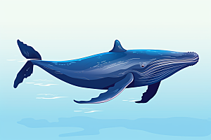 幻想天空鲸鱼美好飞翔插画