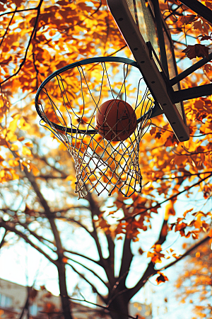 篮球高清球类运动素材