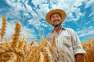 农民丰收水稻稻谷摄影图