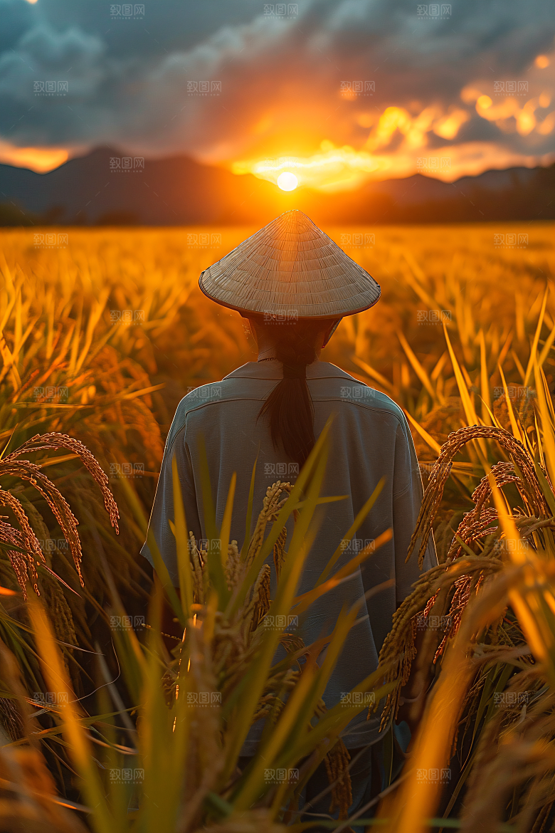 农民丰收种地劳作摄影图