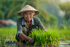 农民丰收种地稻谷摄影图