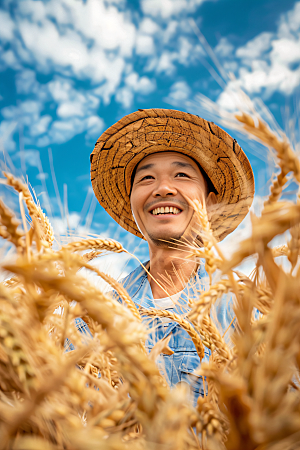 农民丰收劳作水稻摄影图
