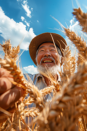 农民丰收高清稻谷摄影图
