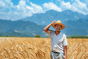 农民丰收耕种水稻摄影图