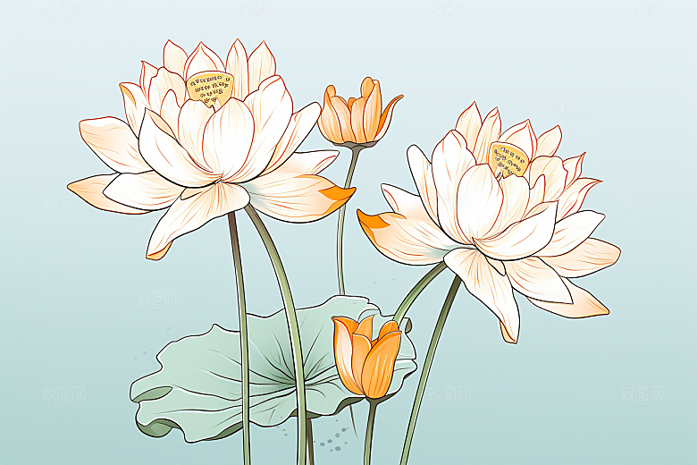 素描荷花池塘锦鲤戏水荷塘插画