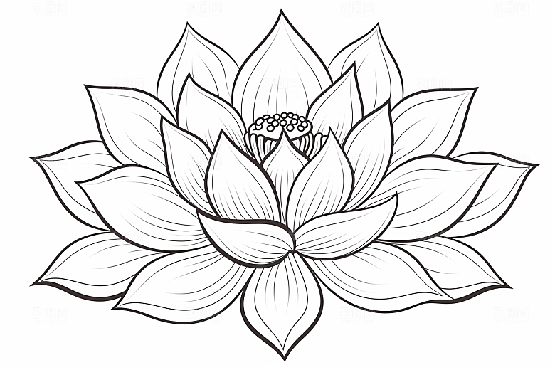 素描荷花池塘艺术工笔画插画