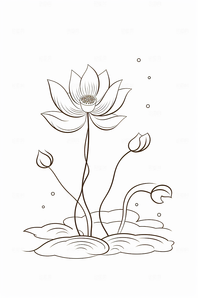 素描荷花池塘锦鲤戏水艺术插画