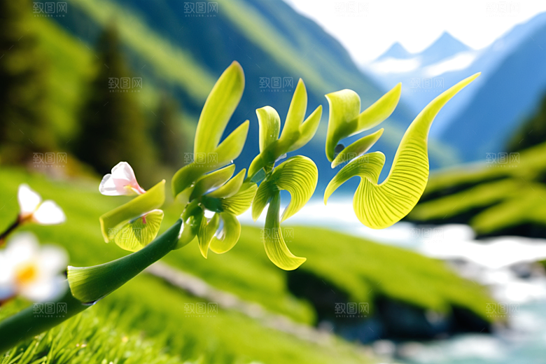 立春清新渲染艺术字