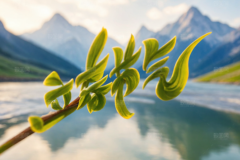 立春春季立体艺术字