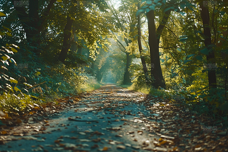 林荫小路植物旅行摄影图