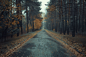 林荫小路山林树林摄影图