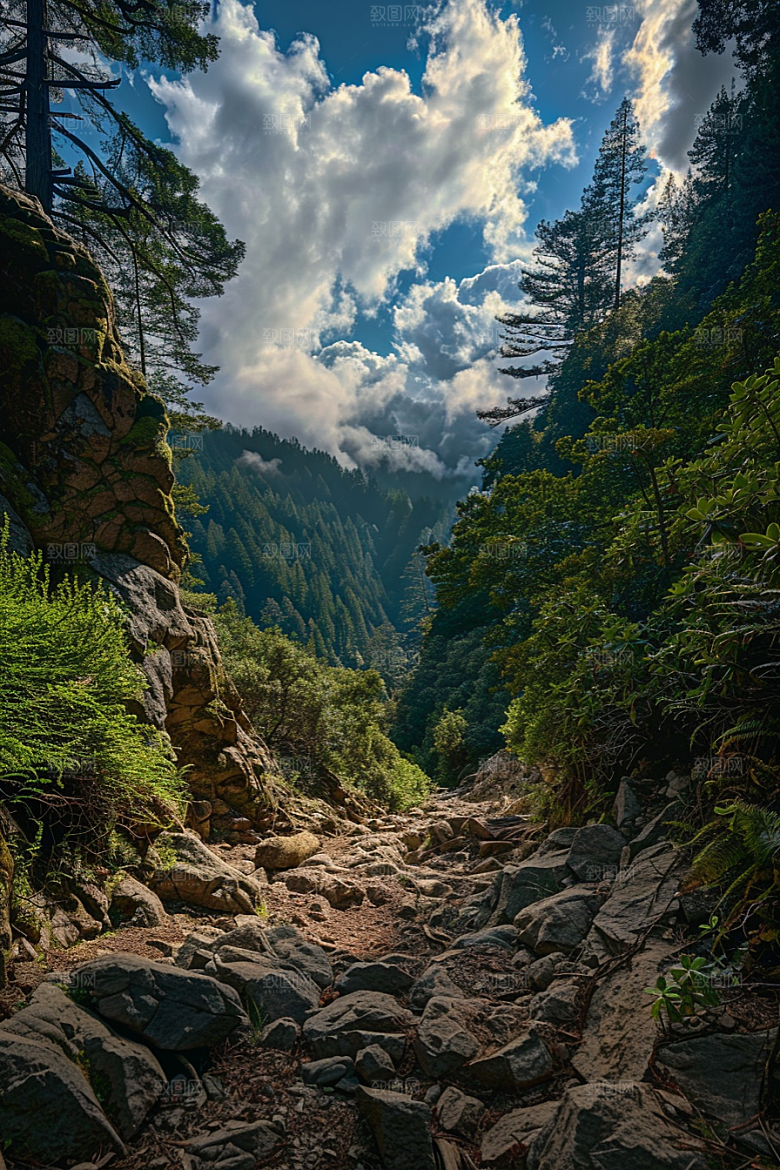 林荫小路山林自然摄影图