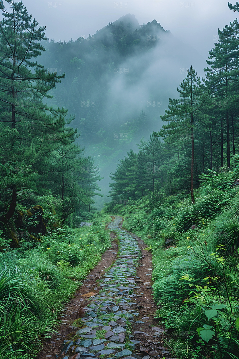 林荫小路旅游露营摄影图
