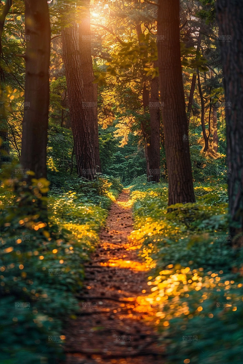 林荫小路绿色旅游摄影图