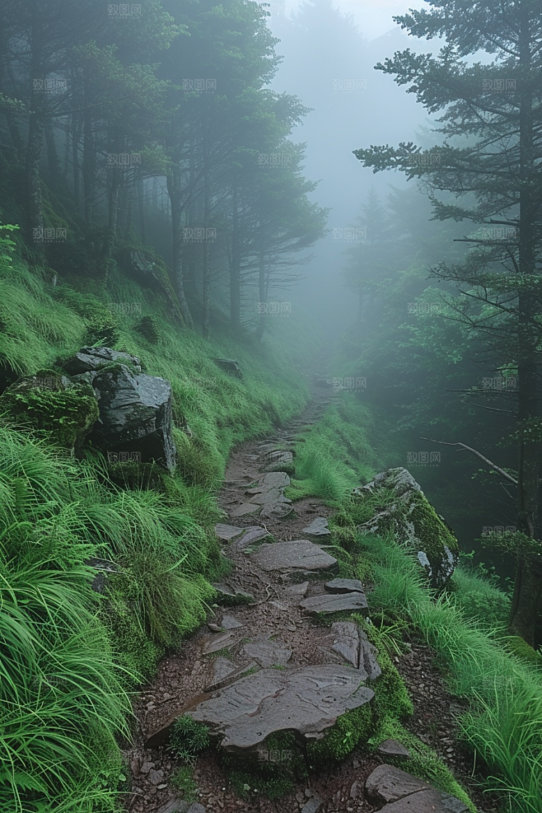 林荫小路旅游野营摄影图