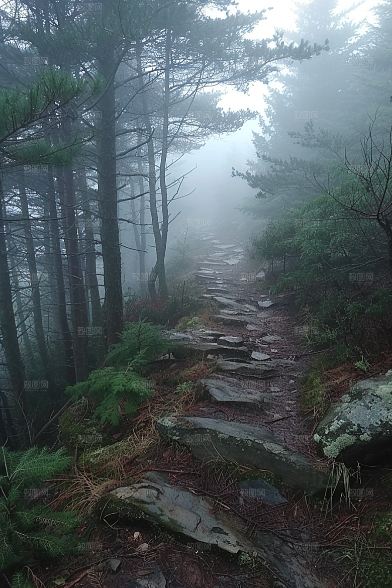 林荫小路旅游高清摄影图