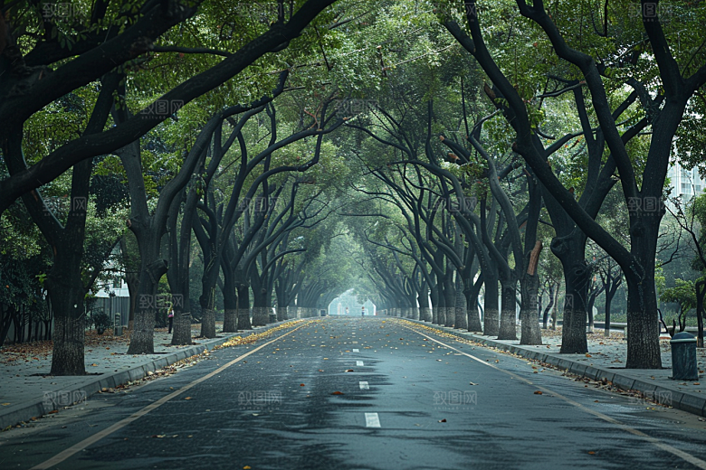 林荫小路高清户外摄影图