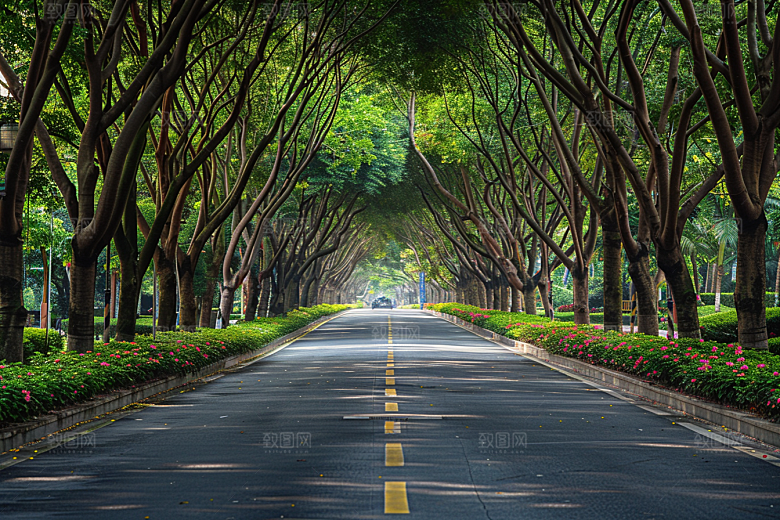 林荫小路植物旅游摄影图