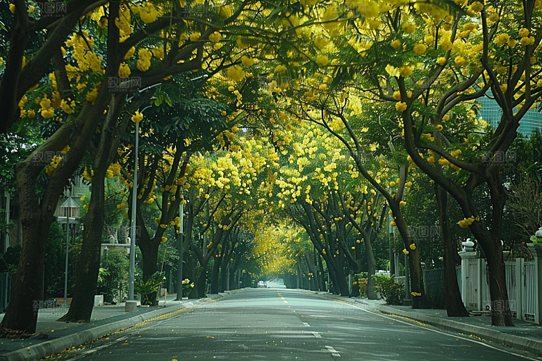 林荫小路旅行山林摄影图