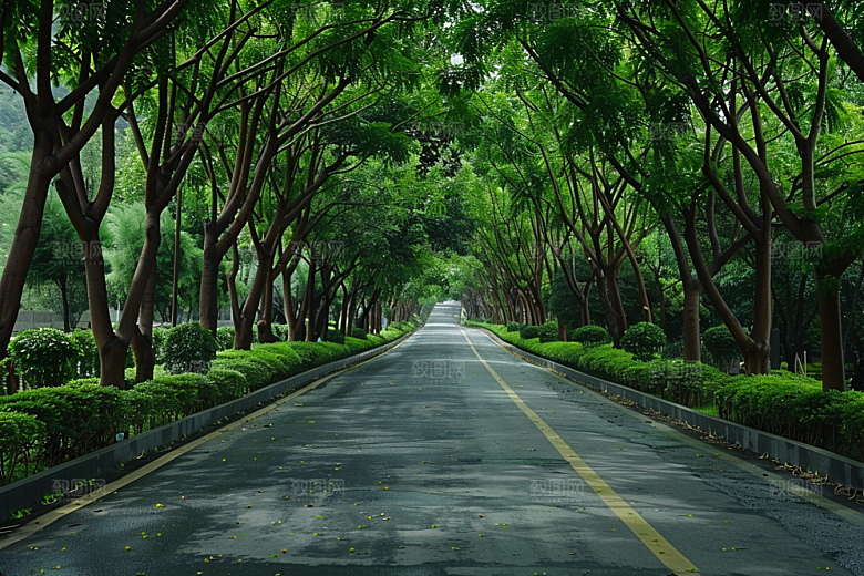 林荫小路户外野营摄影图