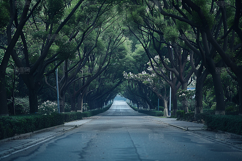 林荫小路植物绿色摄影图