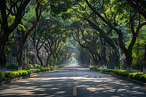 林荫小路野营树林摄影图