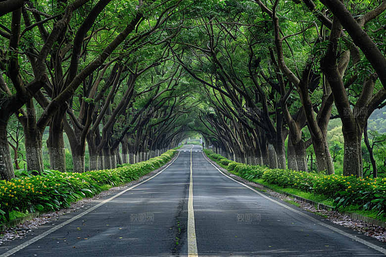 林荫小路旅游林间摄影图