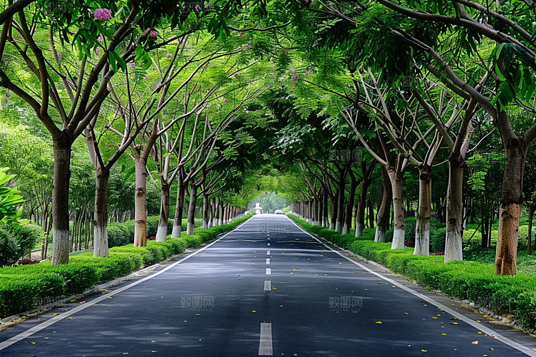 林荫小路绿色自然摄影图