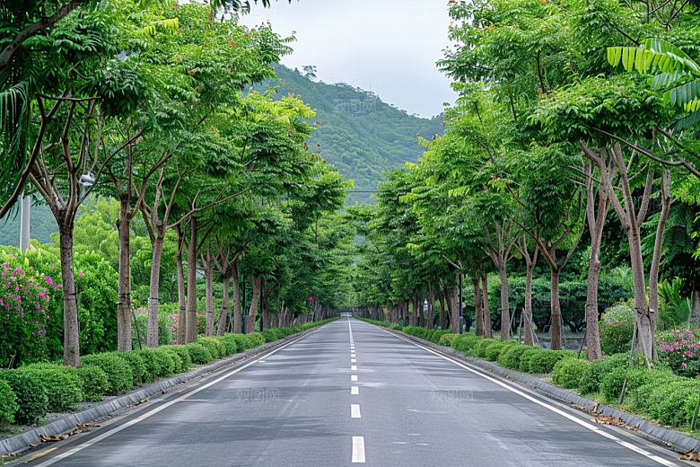 林荫小路自然旅行摄影图