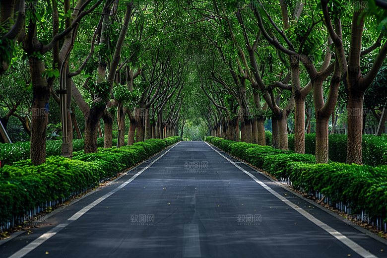 林荫小路高清旅游摄影图