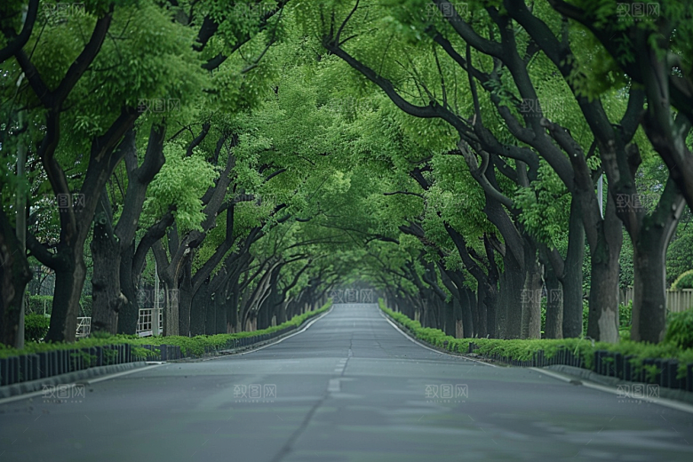 林荫小路高清自然摄影图