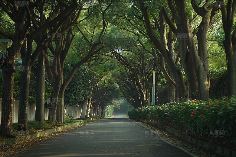 林荫小路树林旅游摄影图