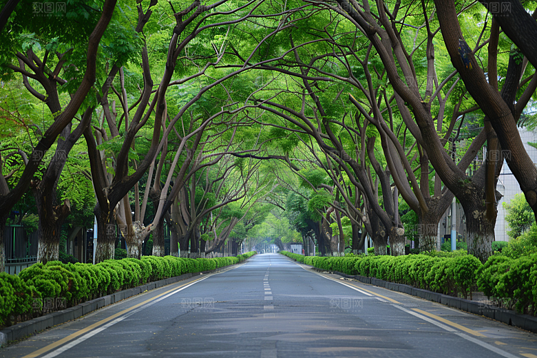 林荫小路植物山林摄影图