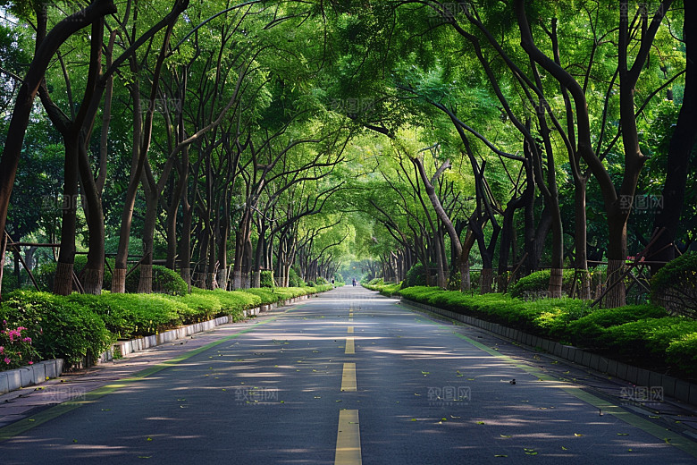 林荫小路野营植物摄影图
