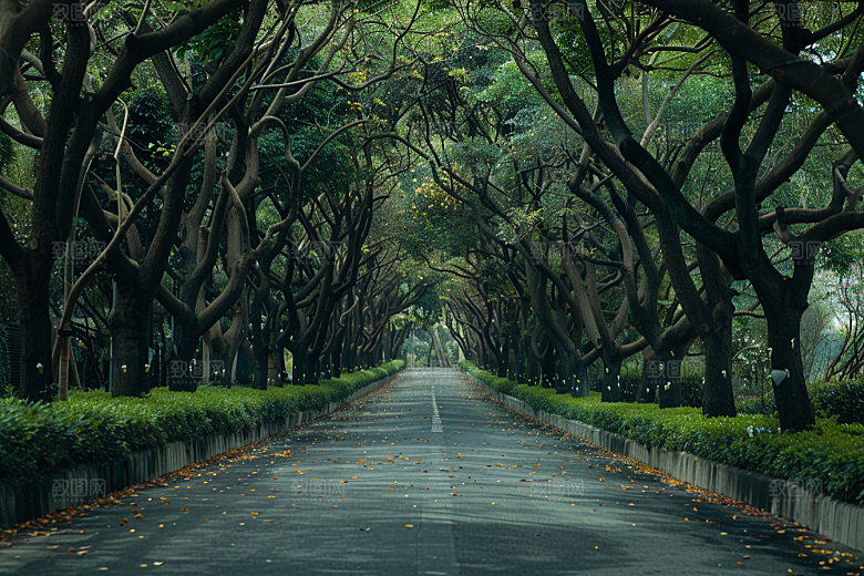 林荫小路绿色空气清新摄影图