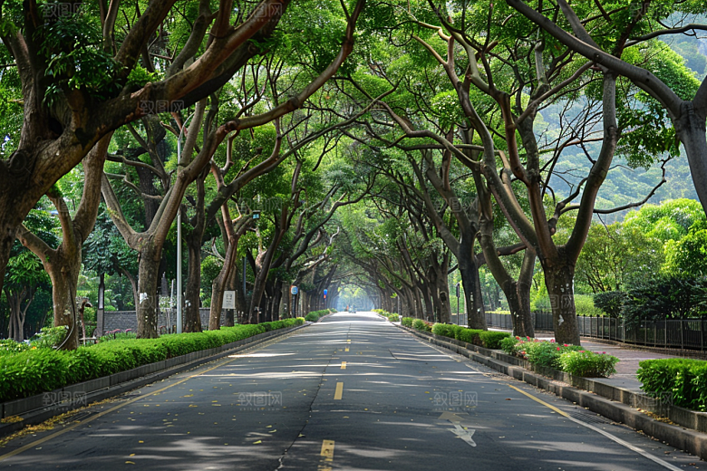 林荫小路旅行树林摄影图