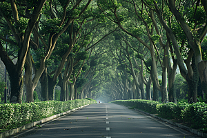 林荫小路植物空气清新摄影图