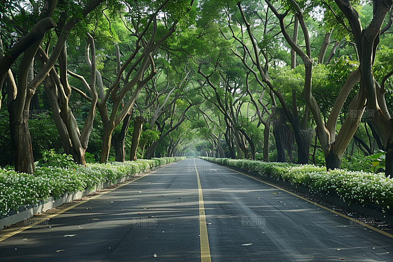 林荫小路野营旅行摄影图