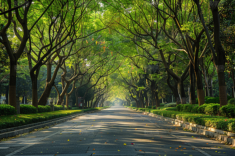 林荫小路树林山林摄影图