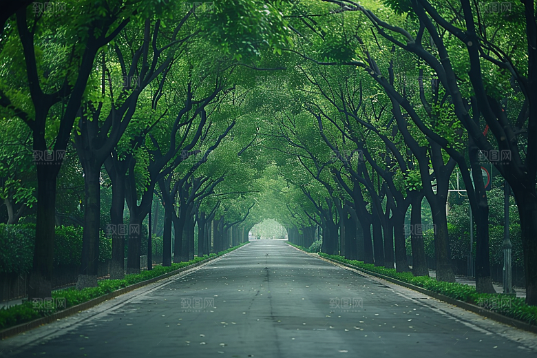 林荫小路林间野营摄影图