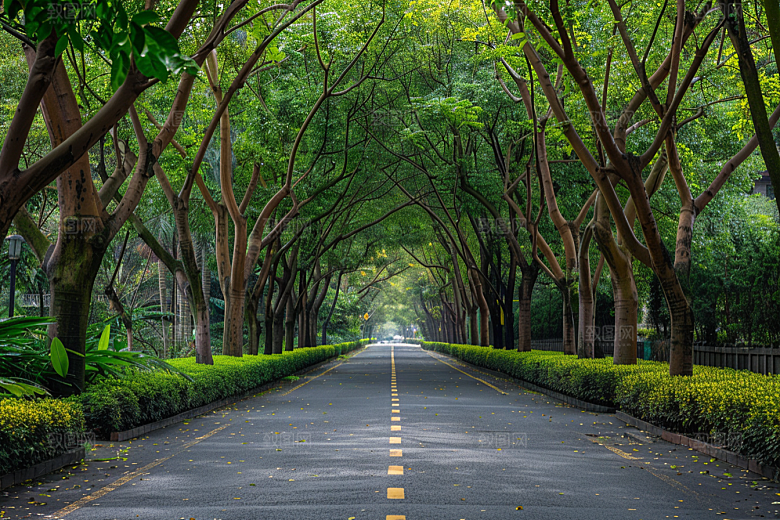 林荫小路高清旅行摄影图
