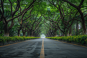 林荫小路旅行高清摄影图