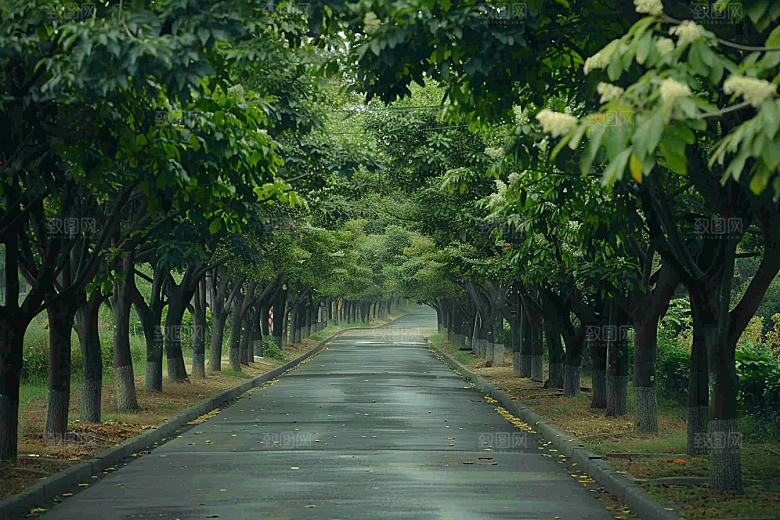 林荫小路旅行绿色摄影图