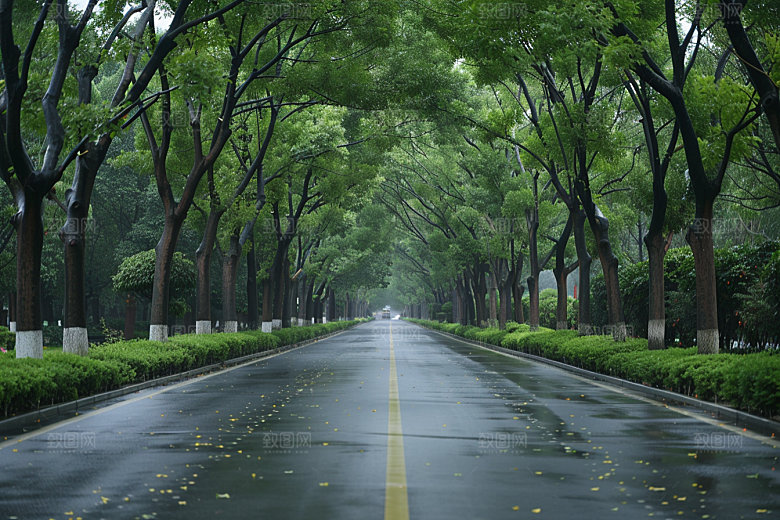 林荫小路旅行山林摄影图