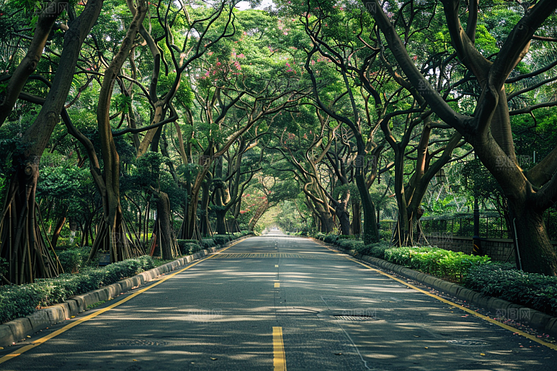 林荫小路户外露营摄影图
